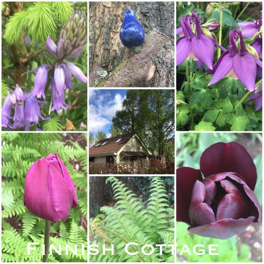 فيلا Cosy & Natural *Fireplace*Garden*2 Bikes Heinenoord المظهر الخارجي الصورة
